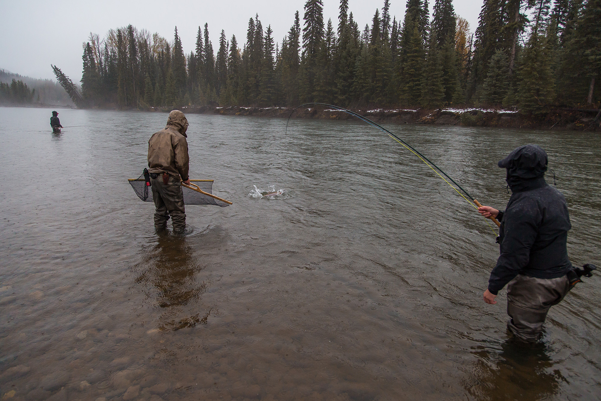 Salmon Fishing, BC, Canada, Bulkley Steelhead 
