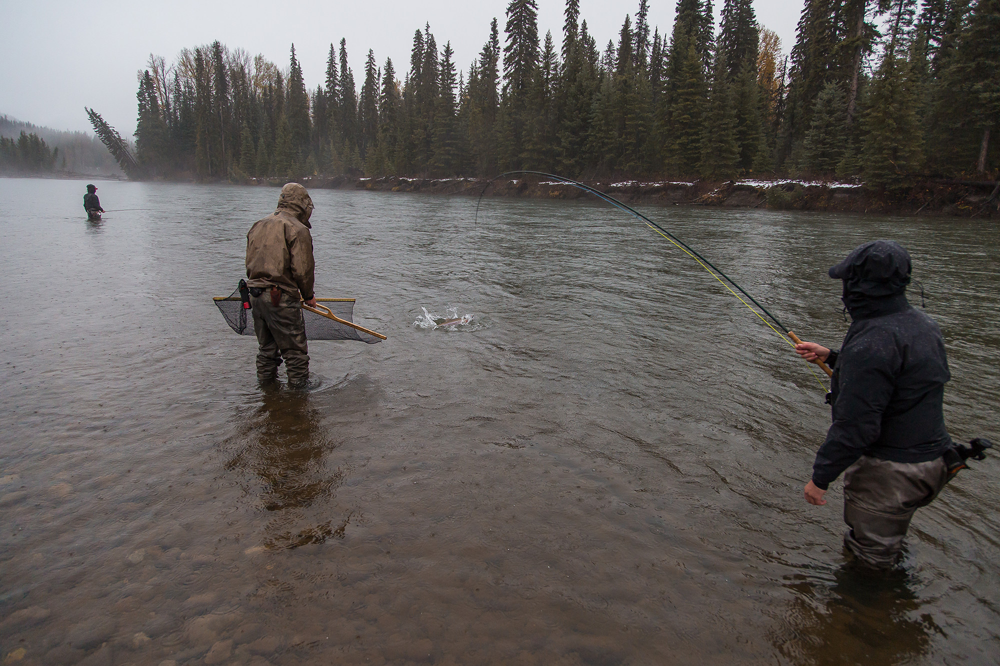 Salmon Fishing, BC, Canada, Bulkley Steelhead