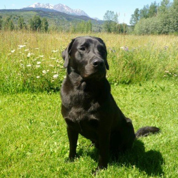 Canadian glamping, Wedding venue, Yoga retreat, Drive in destination, Natural wonders, British Columbia, accommodation